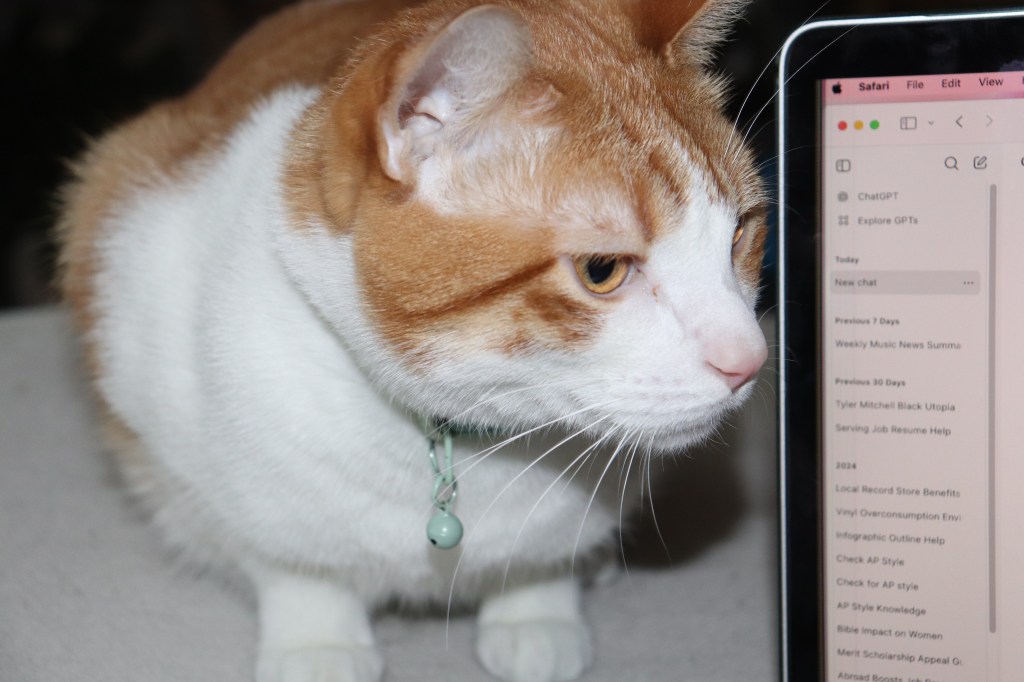 01. an idea was&nbsp;born